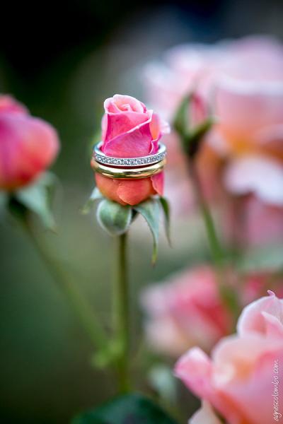 -®agnescolombo-mariagechateaudecourtanvaux-carine+clement-445