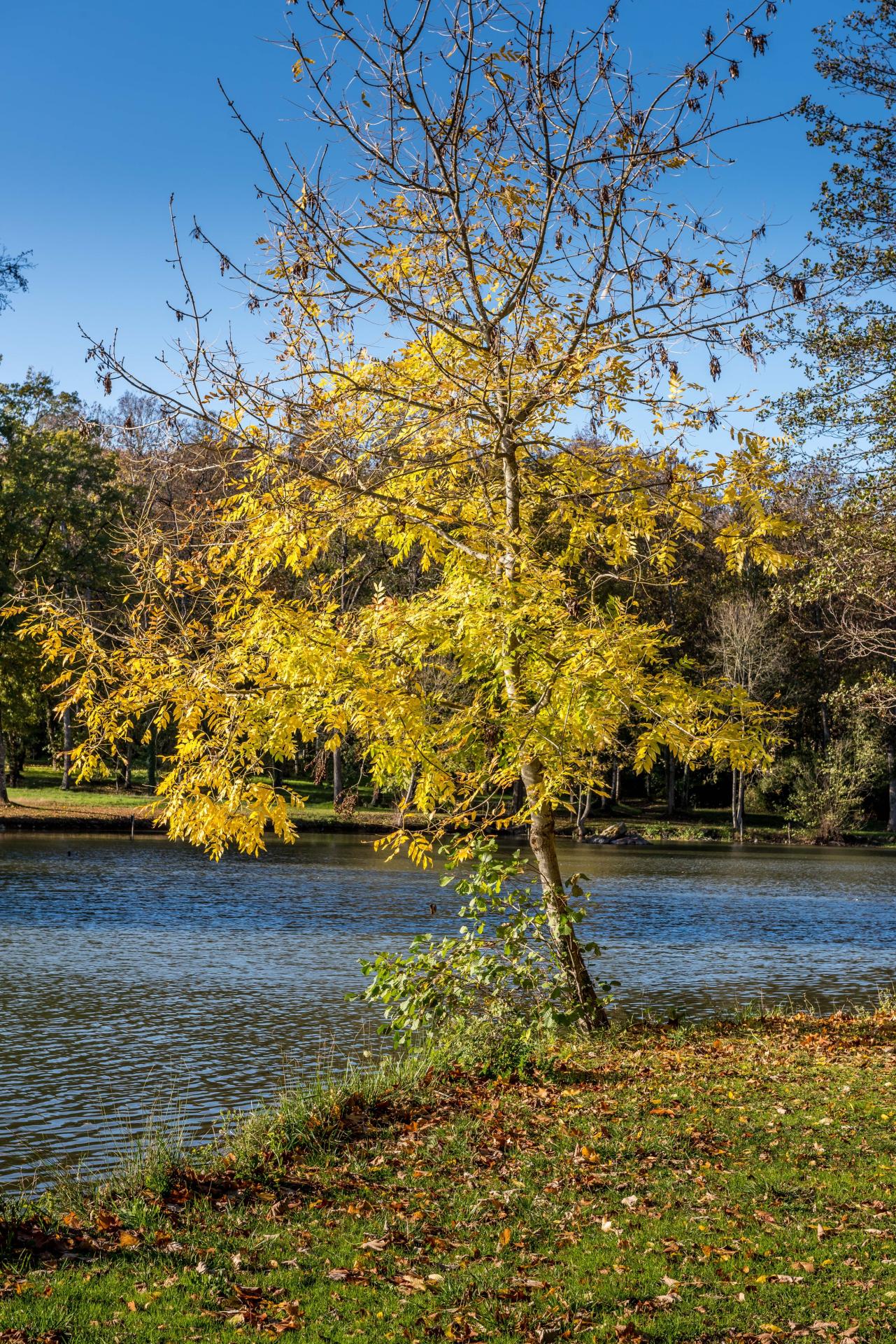 Peche etang sarthe